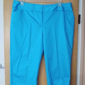 Bright blue capris - 16W